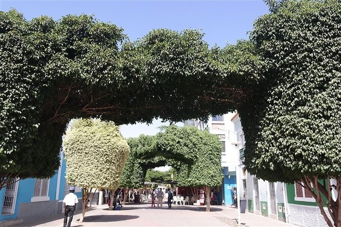 Guided City Tour Praia With Cidade Velha (World Heritage) - Meeting and Pickup