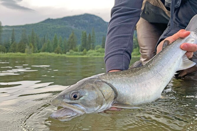 Guided Fishing Adventure in Whistler - Pricing and Booking Details