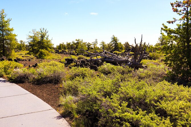 Guided Full-Day Tour to Craters of the Moon National Monument & Preserve - Unique Hiking Opportunities