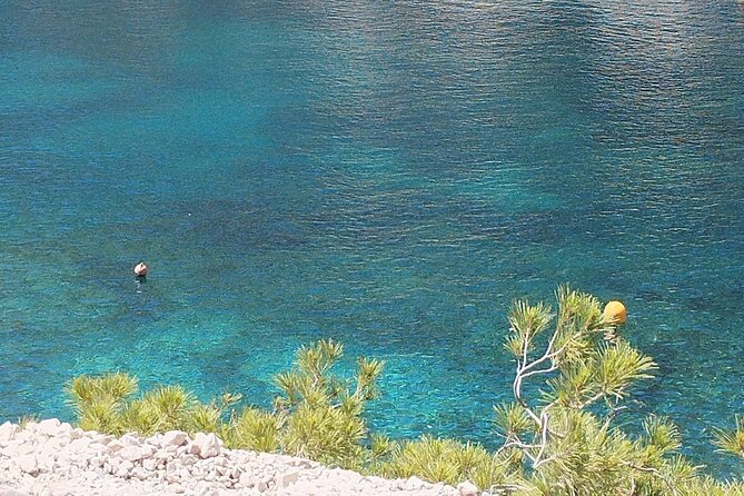Guided Hike in the Calanques National Park - Highlights of the Hike