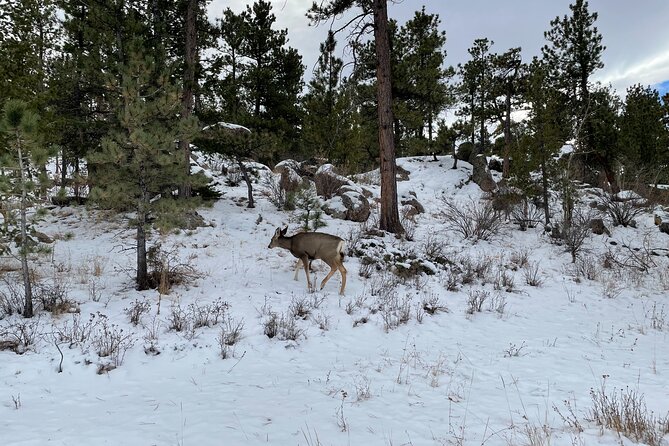 Guided Hiking Tours Near Fort Collins - Health and Safety Guidelines