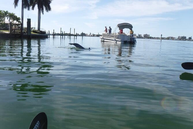 Guided Kayak Sunset Tour in Pelican Bay at Fort Myers Beach - Tour Inclusions