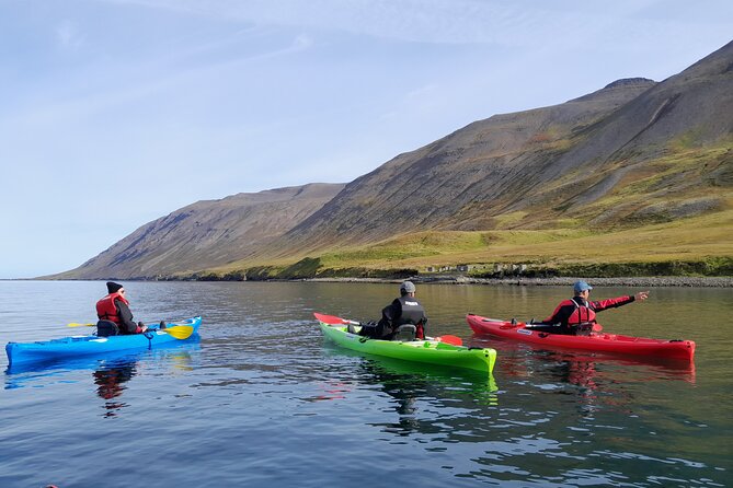 Guided Kayak Tour in Siglufjordur. - Pickup and Drop-off