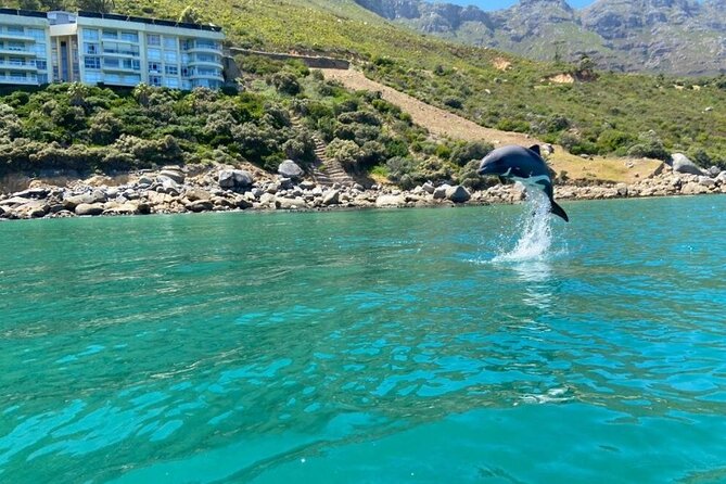 Guided Kayaking in Hout Bay - Meeting and Pickup Details
