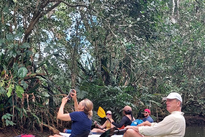Guided Kayaking Tour to Punta Uva River With Nature and Swimming - Refreshing Swim Opportunities