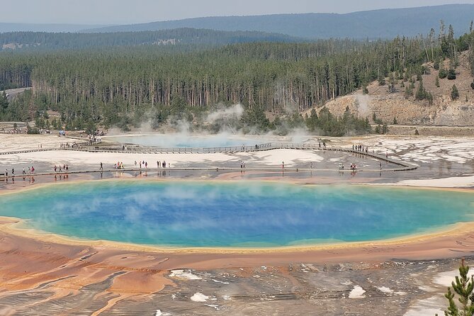 Guided Lower Loop of Yellowstone Tour From Cody, WY - Pickup Locations and Times