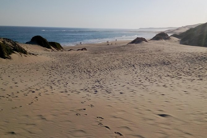 Guided Marine Walk: - Sardinia Bay (Marine Protected Area) - 3 Hours - Explore Native Flora and Fauna