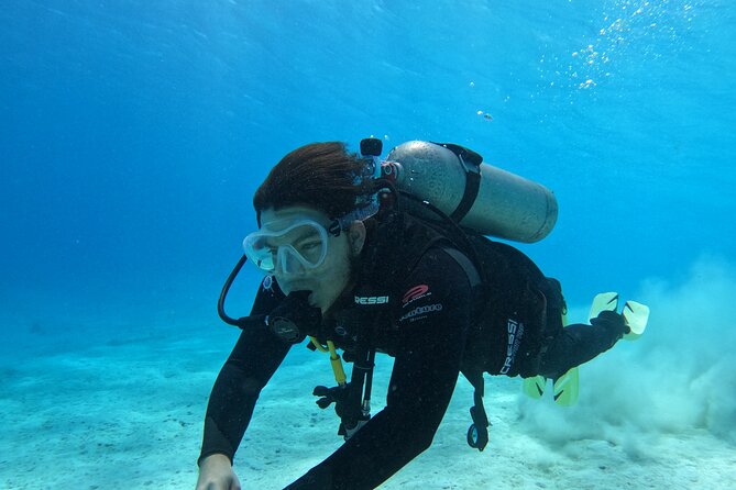 Guided Padi Discover Scuba Diving for Non-Certified Divers - Memorable Dives With Sea Life