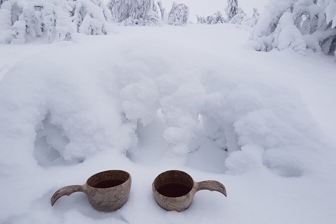 Guided Reindeer Farm Visit and One Hour Sledge Safari - Taking in the Snowy Landscape