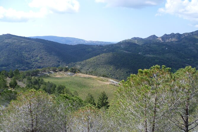 Guided Tour by E-Bike Rio Marina Mining Museum - Booking Details