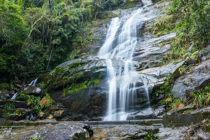 Guided Tour in Tijuca Forest With Transfer - Reforestation and Coffee Plantations