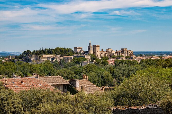Guided Tour of Avignon - Traveler Experiences