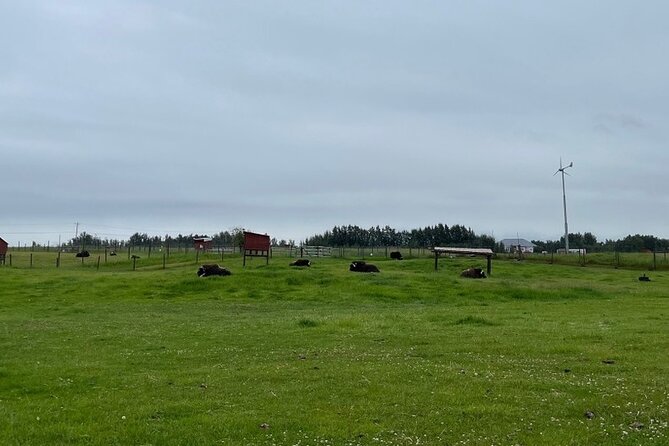 Guided Tour of Musk Ox Farm & Scenic Drive From Anchorage - Health and Accessibility Information