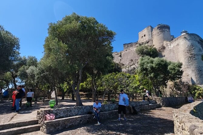 Guided Tour of the Aragonese Castle in Ischia - Traveler Reviews and Insights