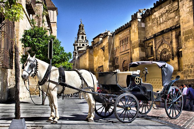 Guided Tour of the CATHEDRAL MOSQUE of Cordoba - Refund and Communication Issues