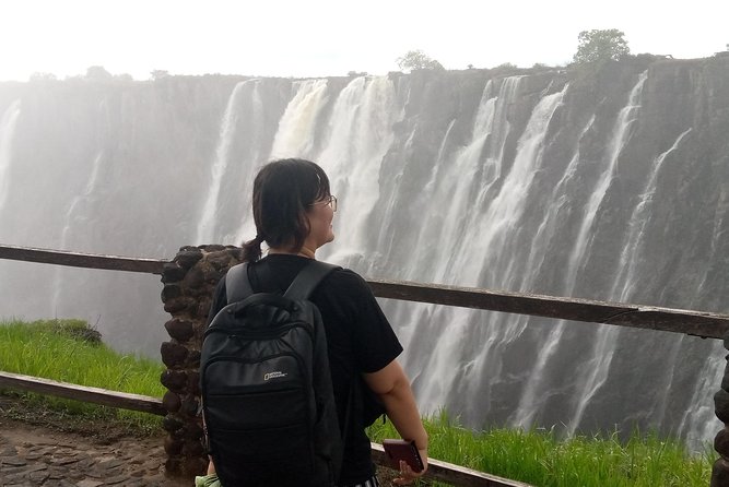 Guided Tour of the Falls Zambia - Traveler Reviews and Testimonials