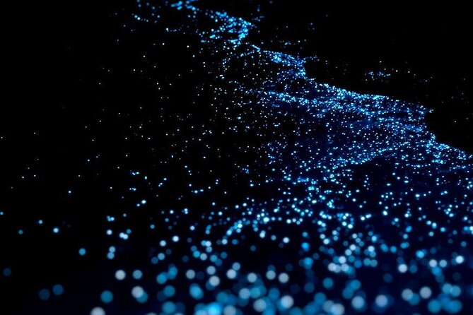 Guided Tour With Horseback Riding and Bioluminescence in Puerto Escondido - Pickup Information