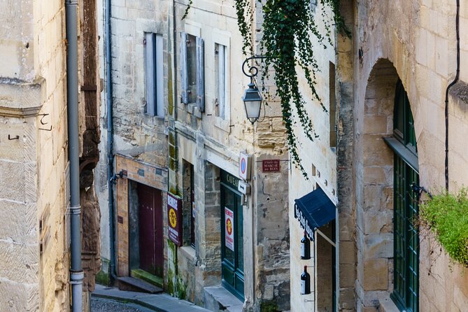 Guided Vineyard Tour With Wine Tasting in Saint-Émilion - Tour Highlights