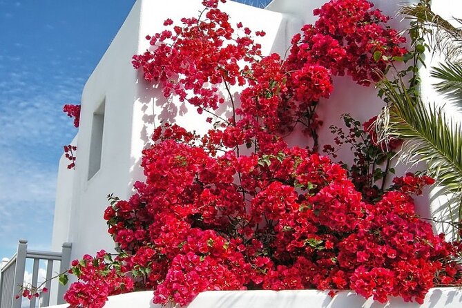 Guided Walking Tour Mykonos, Little Venice, Windmills, Beaches - Visiting the Iconic Windmills
