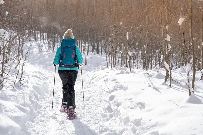 Guided Wilderness Snowshoes Expedition Tour in Rovaniemi - Pricing and Availability Information