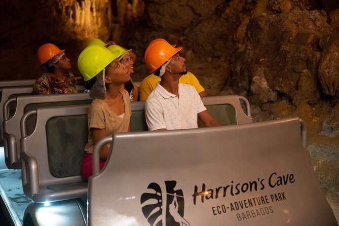 Gully Challenge Course & Cave Tour at Harrisons Cave by Chukka - Additional Tour Policies