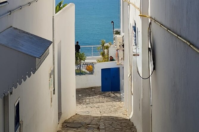 Half a Day in Sidi Bousaid From Hammamet - Attractions in Sidi Bousaid