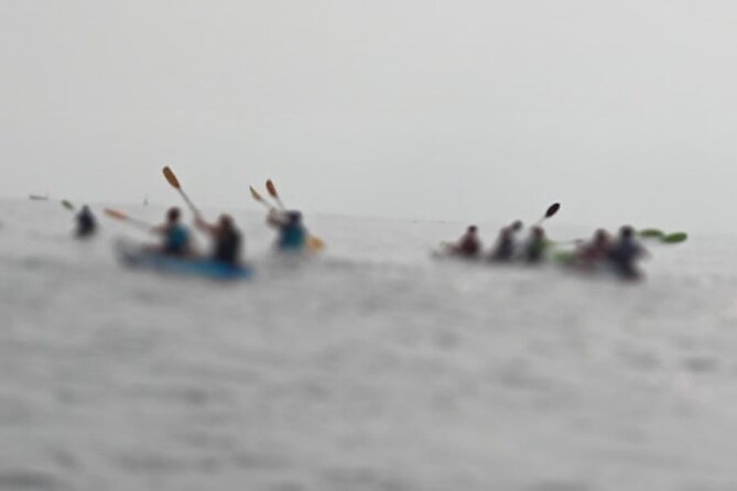 Half Day Activity Kayak Excursion in Ibiza - Participant Suitability Criteria