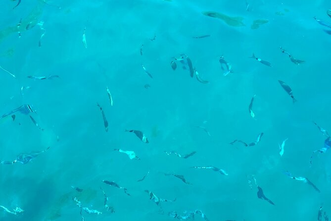 Half Day Amalfi Coast Boat and Snorkeling Tour in Small Group - Traveler Feedback