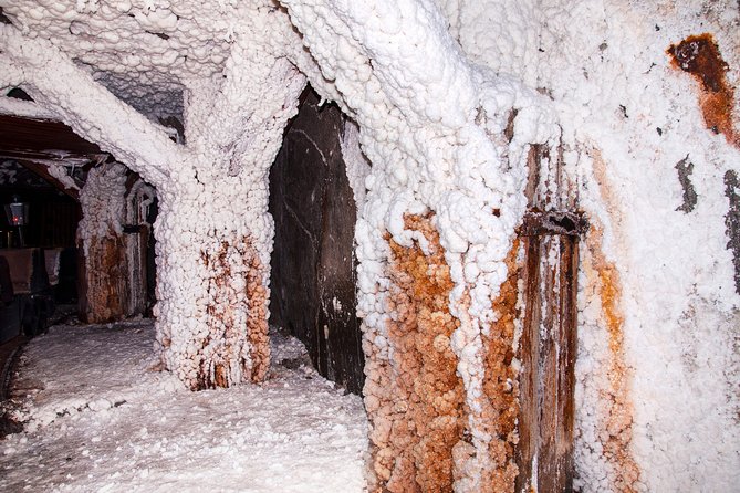 Half-Day Bochnia Salt Mine Private Guided Tour From Krakow - Exploring the Salt Mine