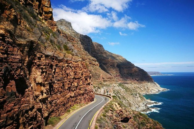 Half-Day Cape Peninsula Tour From Cape Town - Itinerary Breakdown