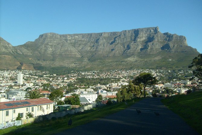 Half Day City & Table Mountain Tour - Inclusions and Amenities