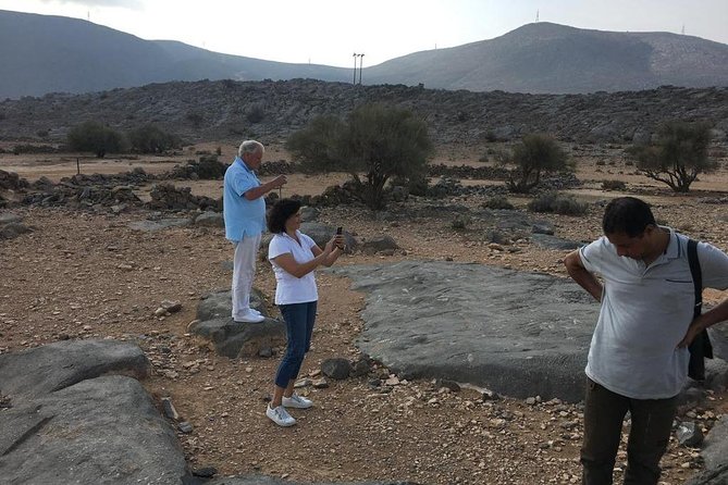 Half Day Cruise & Half Day Mountain Safari With Picnic Lunch (Shore Excursion) - Logistics & Meeting Points