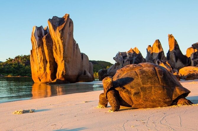 Half Day Curieuse and St Pierre Island Seychelles - Meeting and Pickup Details