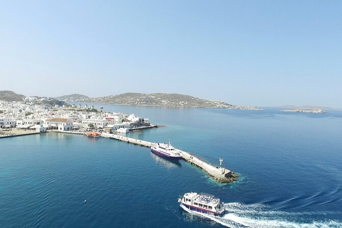Half Day Delos Tour of Mykonos From the Cruise Ship Port - Tour Experience Highlights
