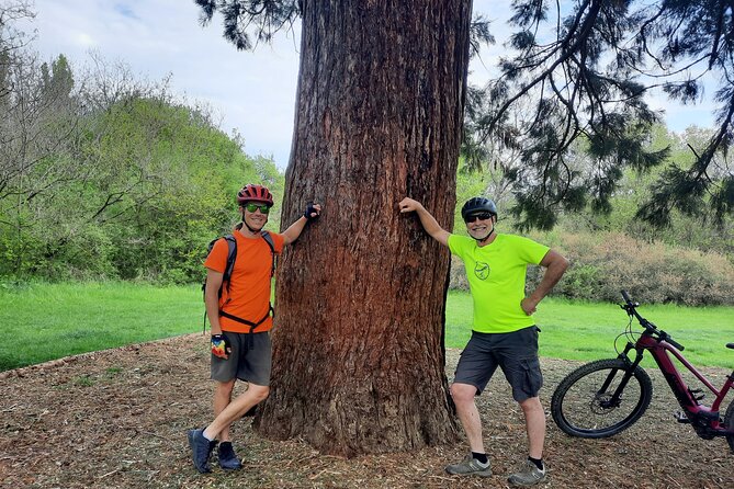 Half-Day E-Bike Tour Through Buda Hills to the Top of Budapest - Tour Expectations