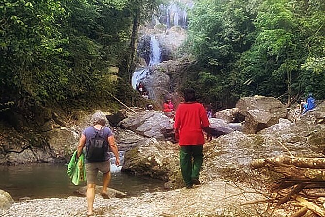 Half Day Group Tour to Tobago Atlantic Coast - Accessibility and Restrictions