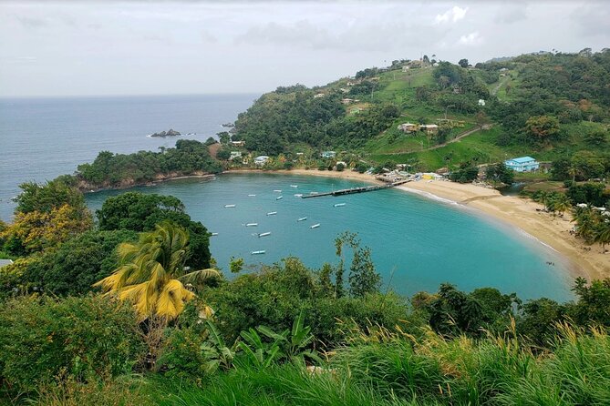 Half-Day Group Tour to Tobago Caribbean Coast - Accessibility and Age Restrictions