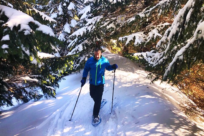 Half-Day Guided Snowshoe Hike in the Allgäu - End of Activity