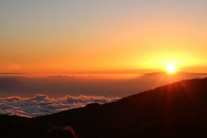Half Day Guided Sunset Buggy Tour in Teide National Park - Reviews Summary
