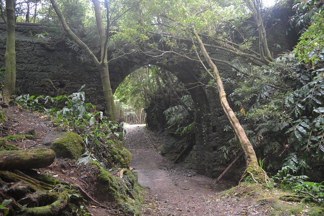 Half Day Hiking Tour Janela Do Inferno and Lagoa Do Fogo - Pickup and Meeting Details