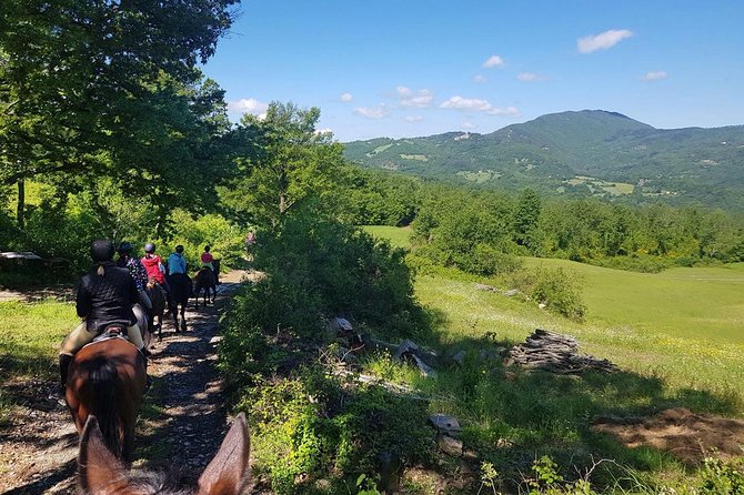 Half-Day Horseback Ride in Tuscany for Beginner Riders - Tour Schedule and Personalized Experience