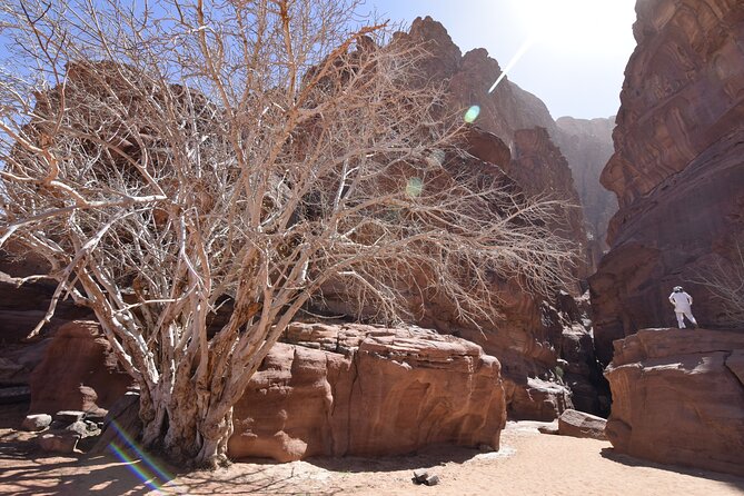 Half Day Jeep and Camel Tour No Stay - Meeting and Pickup