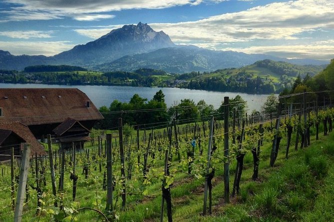 Half-Day Lake Lucerne Country Walk - Meeting and Pickup Information