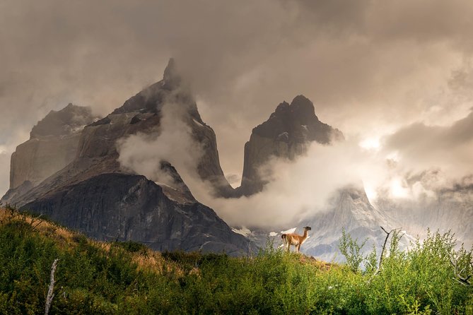 Half Day Mirador Cuernos Del Paine (Minimum 2 Pax) - Exploring Mirador Cuernos Del Paine