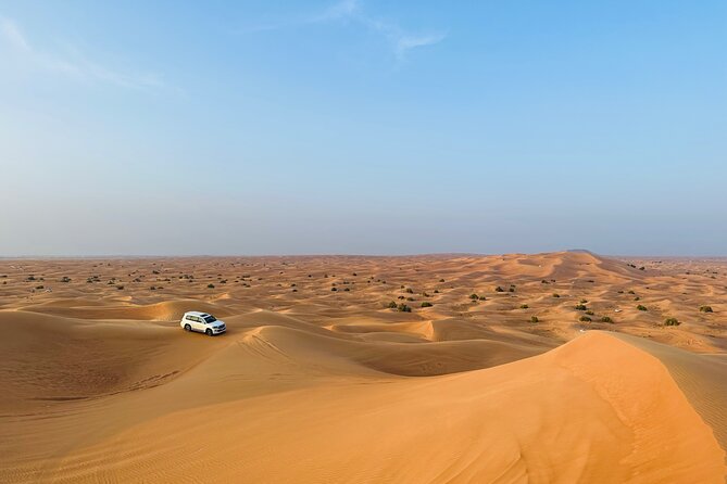 Half-Day Morning Desert Safari in Dubai - Sandboarding at the Dunes