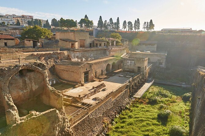 Half Day Morning Tour of Herculaneum From Sorrento - Tour Experience and Recommendations