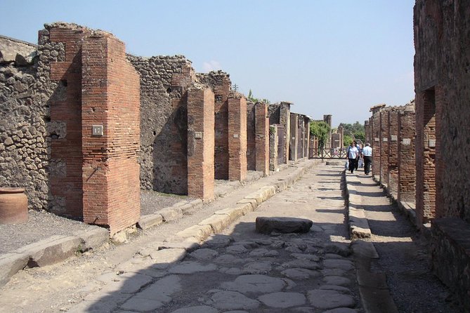 Half Day Morning Tour of Pompeii From Sorrento - Traveler Feedback and Reviews