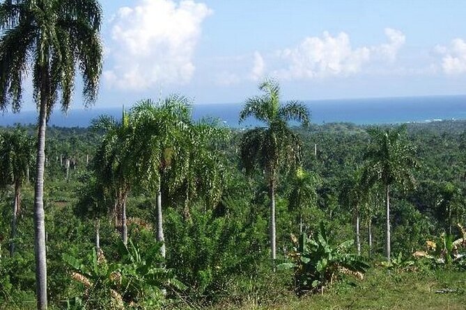 Half-Day Mountain Ride in Puerto Plata - Detailed Itinerary