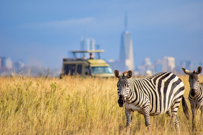 Half Day Nairobi National Park - Wildlife Sightings