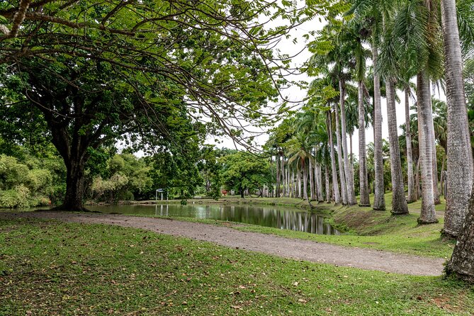 Half Day Private Custom Tour of Martinique - Tour Accessibility